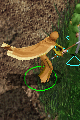 Wizard 4 Missing Animation Fix